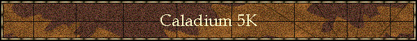 Caladium 5K